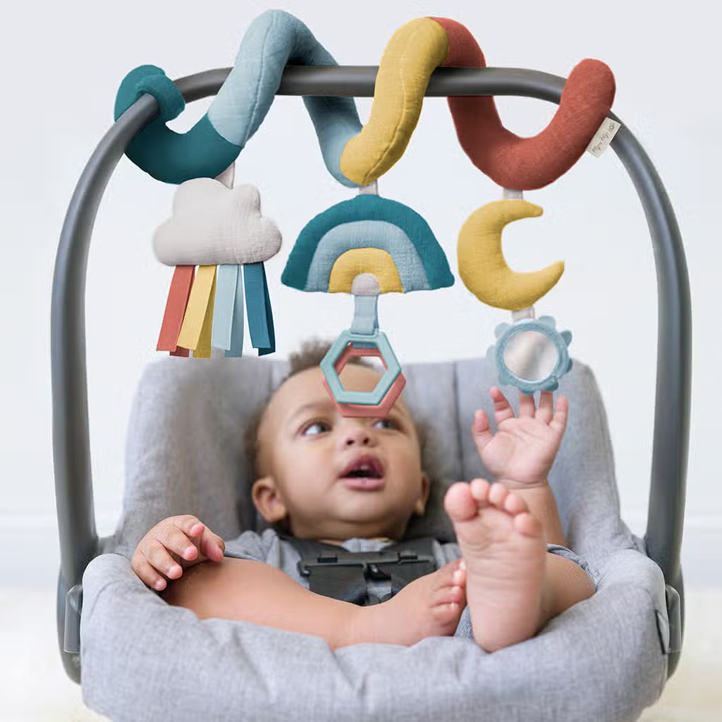 The ACTIVITY toy by Itzy Ritzy 2